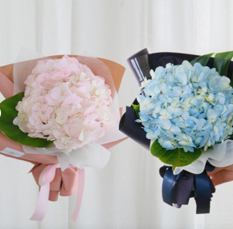 수국꽃다발 핑크 블루 생화 기념일 생일 축하 꽃배달 생화택배